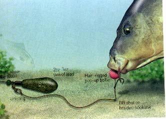 Diverse - pop20up.jpg